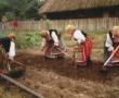 Podlaskie Swięto Chleba w Ciechanowcu 17 sierpnia 2008r