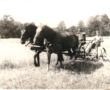 Wycieczka, Kraków 1972r.